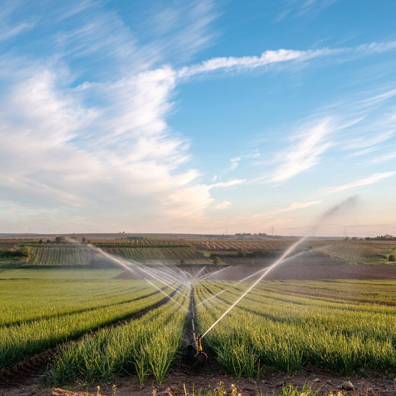 La réutilisation des eaux traitées : une solution alternative incontournable !